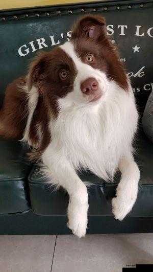 警惕警惕不要陷入wwwsss 色网