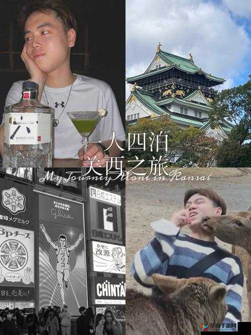 我们 4 个人旅游交换着一个人：独特之旅