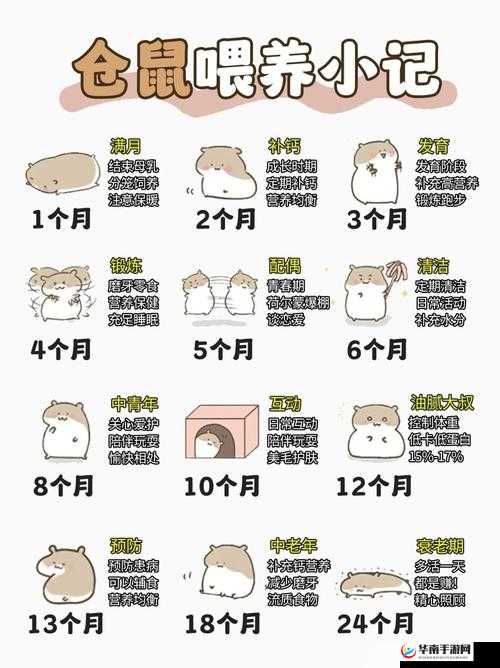 泰拉瑞亚游戏中高效休息策略：床的使用方法与睡眠指南