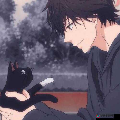 《暗部忍者升级费用全解:步步走向巅峰,解锁天天风之旅新篇章》