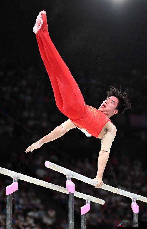 一人免费视频在线观看 www2024 最新版畅享精彩