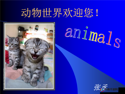 美国 ZOOM 动物：欢迎您!- 探索奇妙动物世界