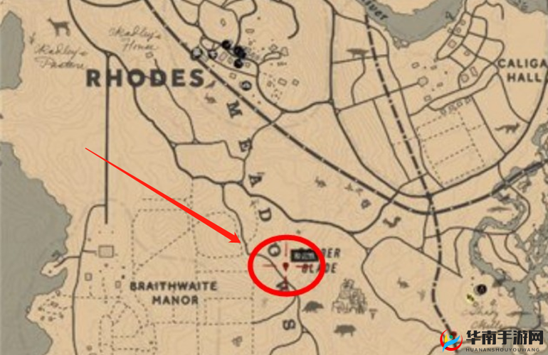 荒野大镖客2：伞菌踪迹，探寻分布位置及获取方法