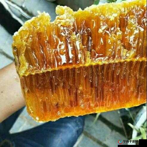 窝窝人体艺 7777777：一场视觉与情感的交融