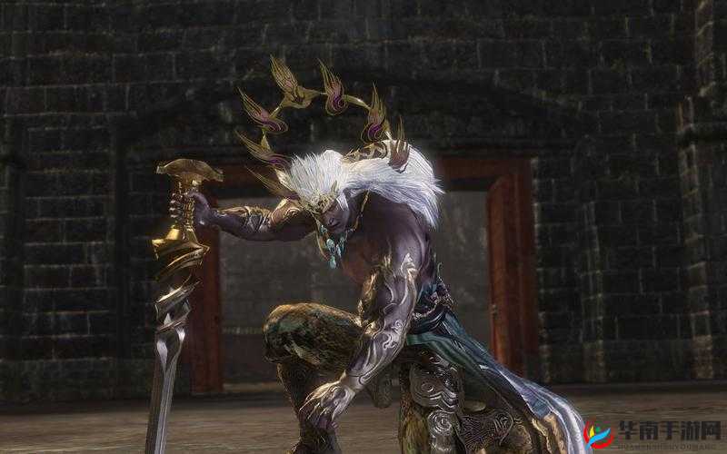 无双大蛇3天舞与神属性天攻的选择及运用技巧深度解析攻略