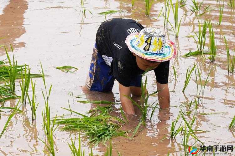 情侣 24 种插秧法:解锁亲密新体验