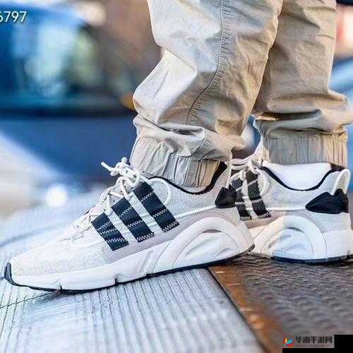 三叶草 GW6797：提升记忆力的新希望