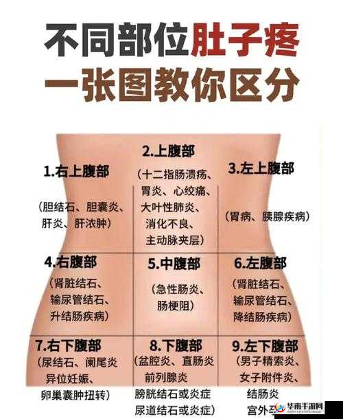 女性三角毛毛区腹部里面疼痛的原因及应对