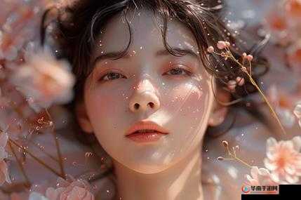 探索 FREEZEFRAME 丰满老师：探寻美的奥秘