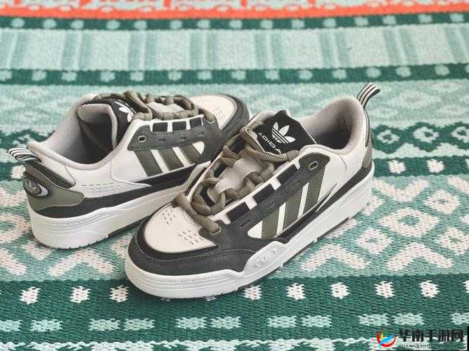 三叶草 gy4425：神奇的存在