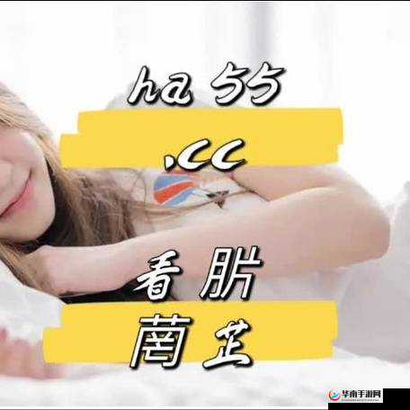 大香煮伊区：精彩内容等你来探索