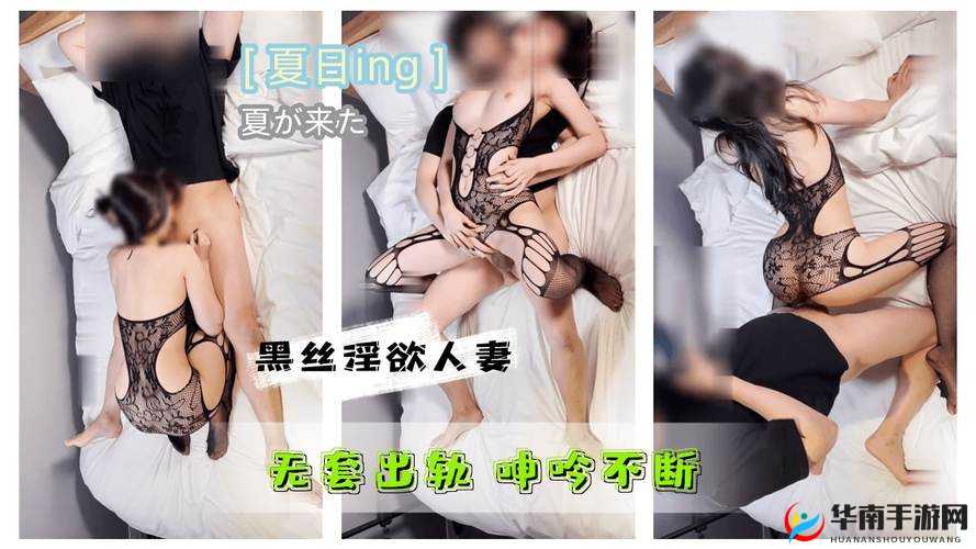 探寻 xxxbbbb 背后的秘密