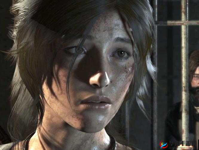 古墓丽影崛起PC最低配置览：PC版配置要求全解析