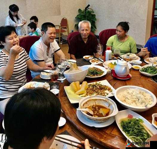 部长来家里吃饭在线看:温馨家庭聚餐