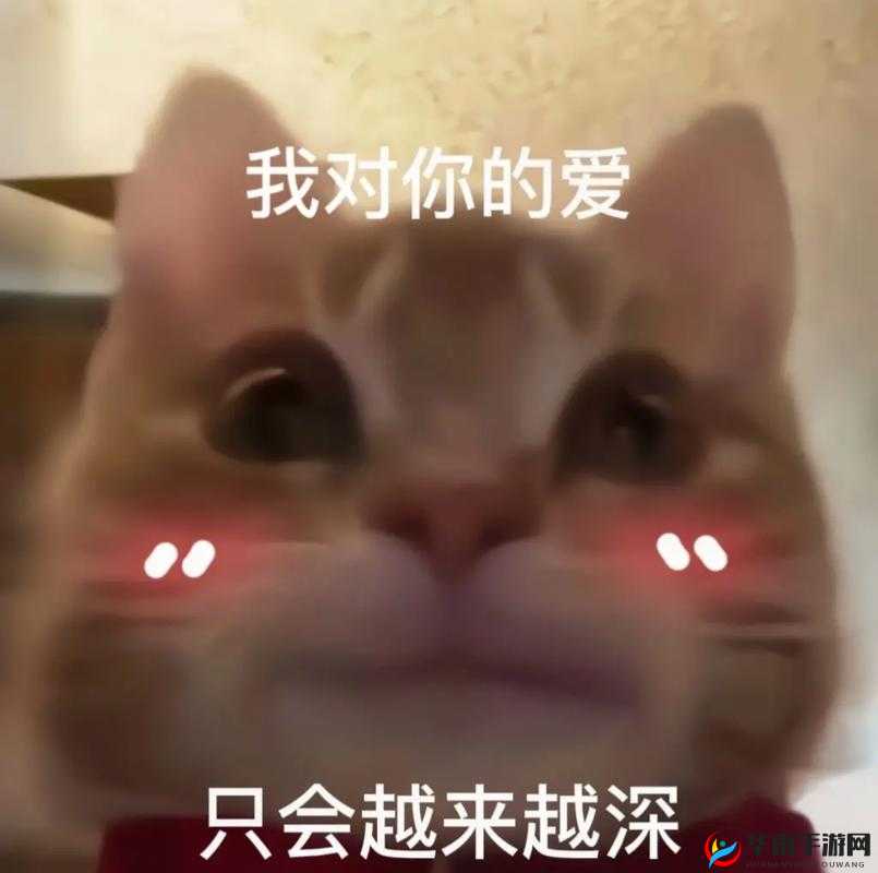 抖音吓死宝宝了呀你离我并不远吧这首歌为何如此火爆