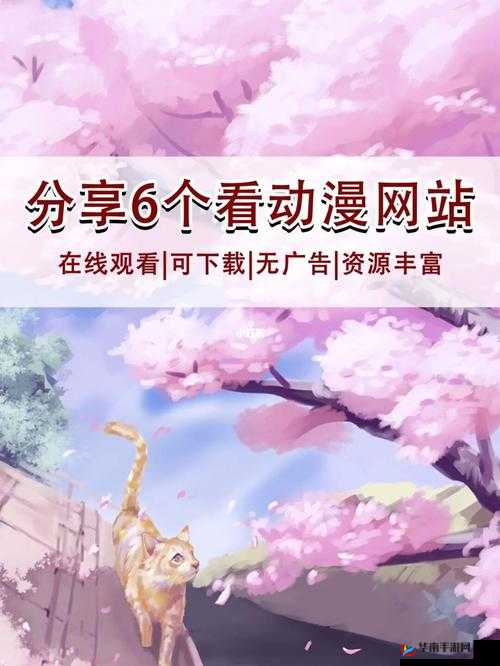樱花动漫官方版正版入口在哪:探寻其所在之处