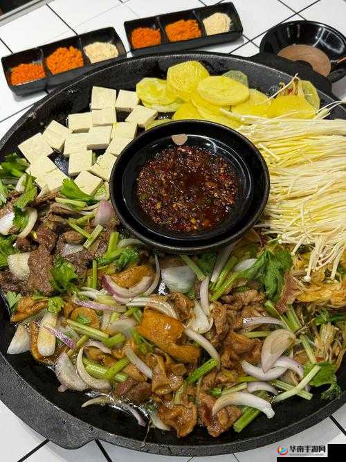 关于鸟背打法的独特技巧与攻略探寻