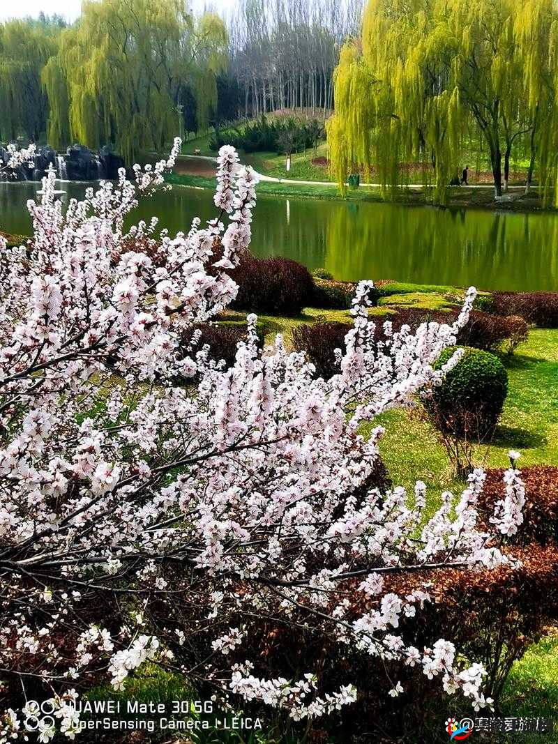 春天里最动人的风景：繁花似锦，绿草如茵