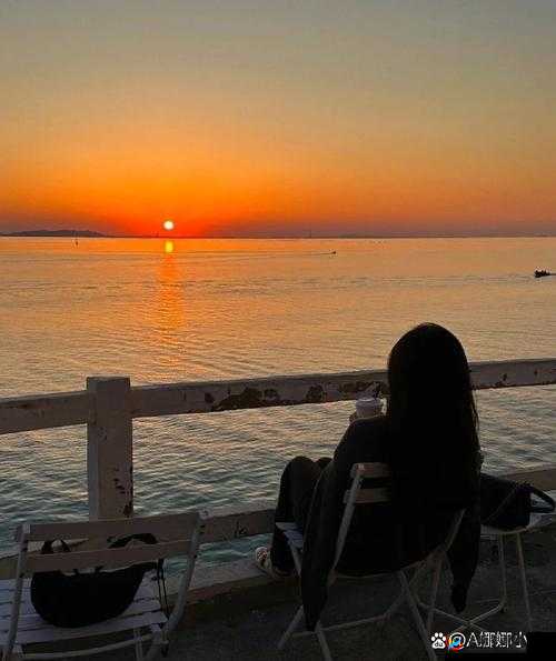 1313 黄色视频：挑战道德与法律的底线