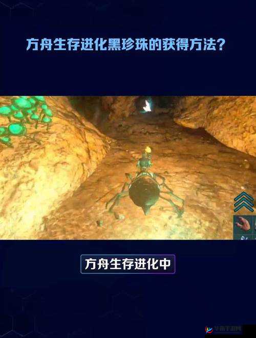 在方舟生存进化中探寻获取珍珠的奥秘