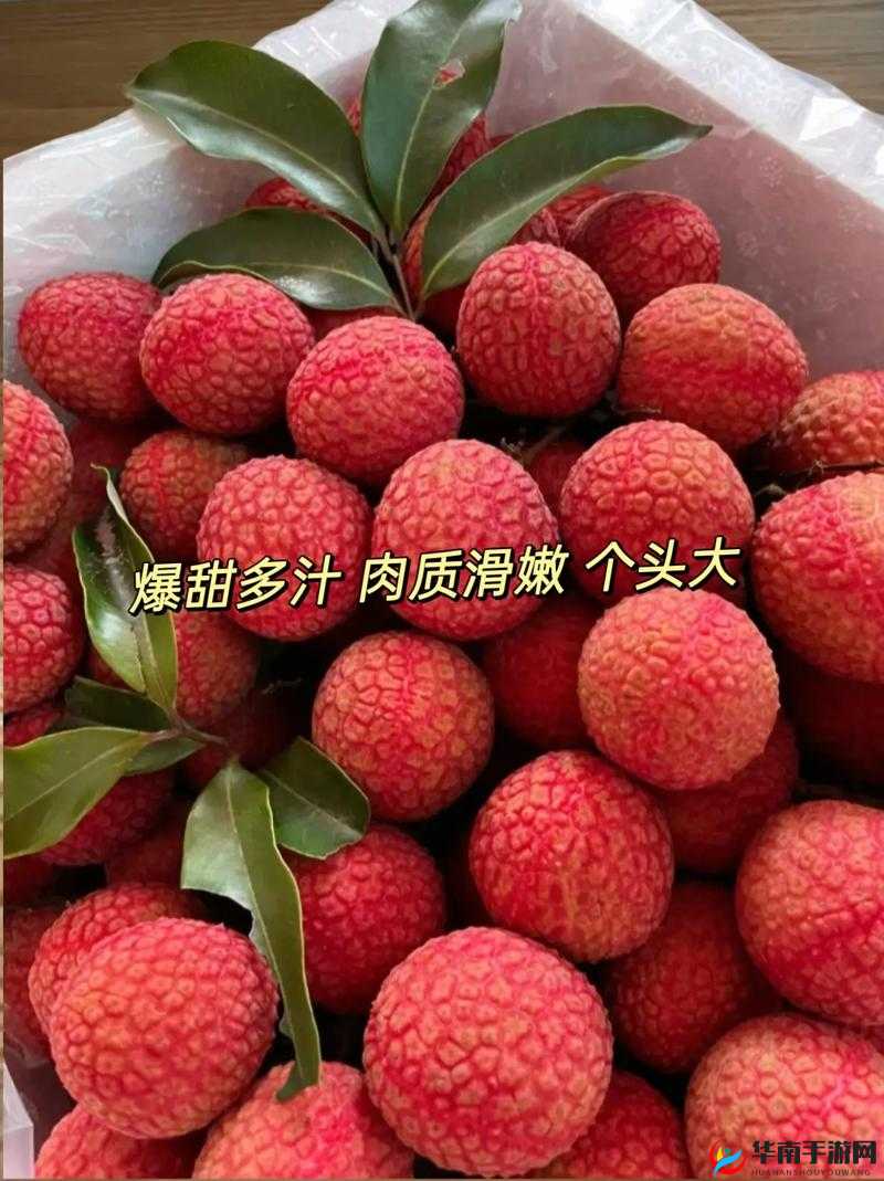 含糖 11h 荔枝：一口爆汁的甜蜜享受