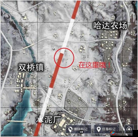 刺激战场中双桥镇圣诞树究竟位于何处快来一探究竟