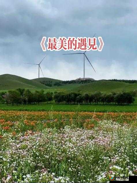 抖音上令人好奇的故人发已衰白究竟出自哪首歌曲