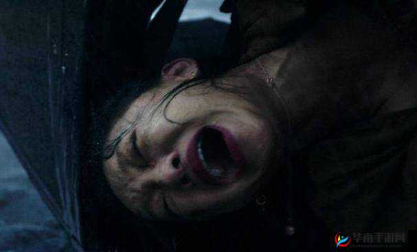 可以免费观看的电影网被主播嫌弃：背后原因引关注