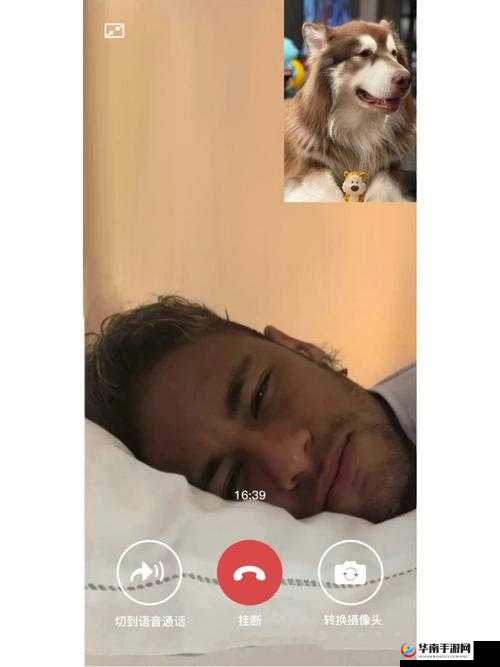 Zoom 与人性 Zoom 的区别惨遭无视：背后原因何在