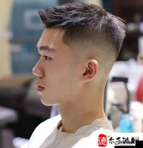 有一根又黑又硬的蘑菇头详细区分类型：解析与探讨