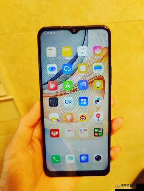 深度解析成色好的 Y31：全方位解读其优势