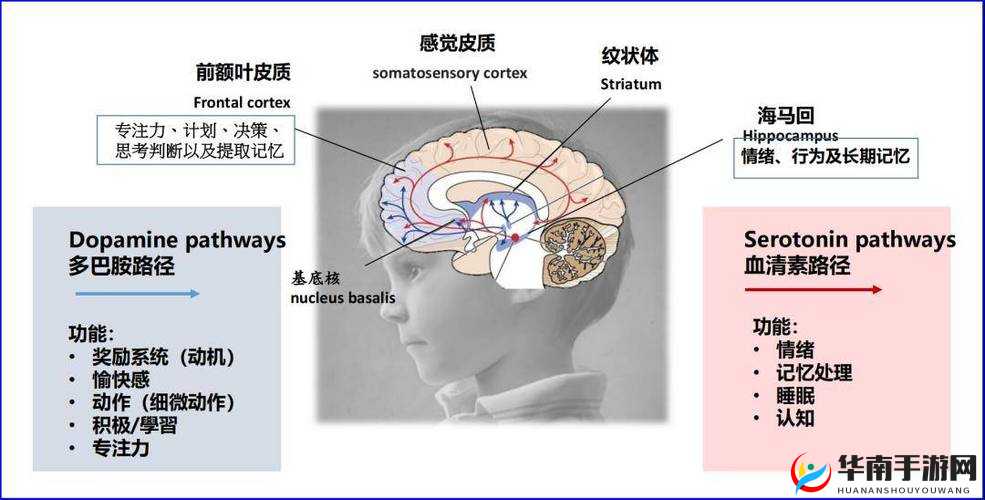 灯太亮好刺眼燃烧吧我的大脑第 75 关该如何应对