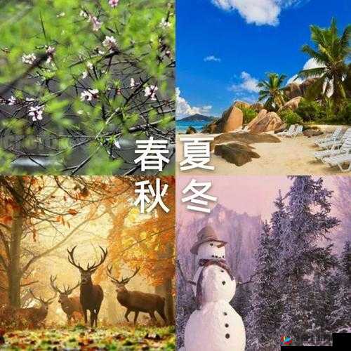 四季在线观看免费资源：畅享四季精彩无需付费