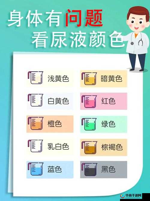 尿在肚子里不能流出来肉：探究生理现象