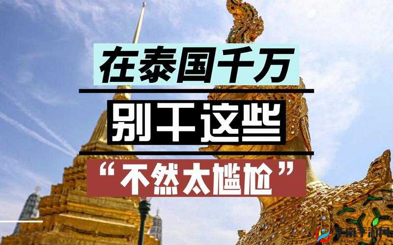 泰国最大的人文艺术 83638 中文字幕已成为语言偏好:探索泰国文化的窗口