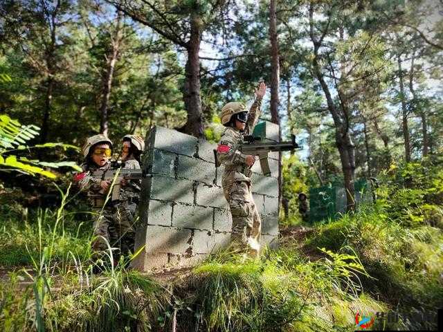 野外真人 CS 枪激战乐趣无穷