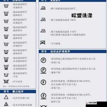 洗衣屋 1—2：衣物洗护的贴心选择