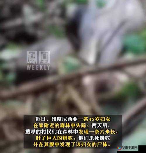 被一条蛇做到崩溃：离奇惊悚事件
