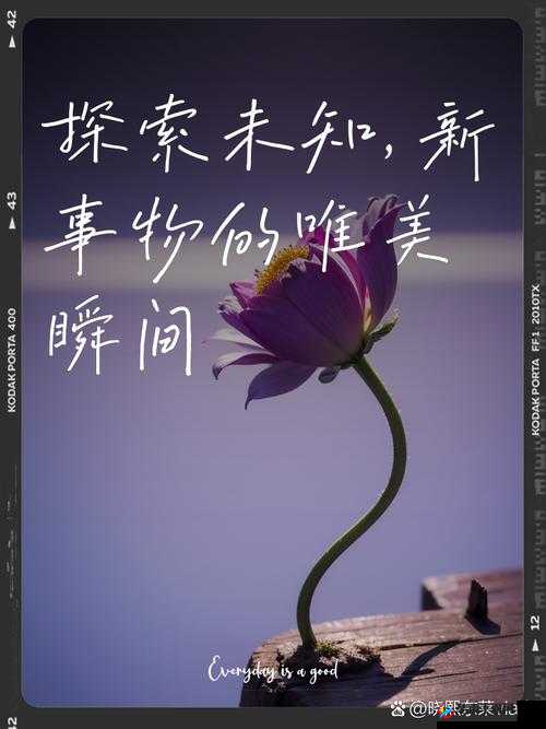 深入她的花苞：探索未知的领域