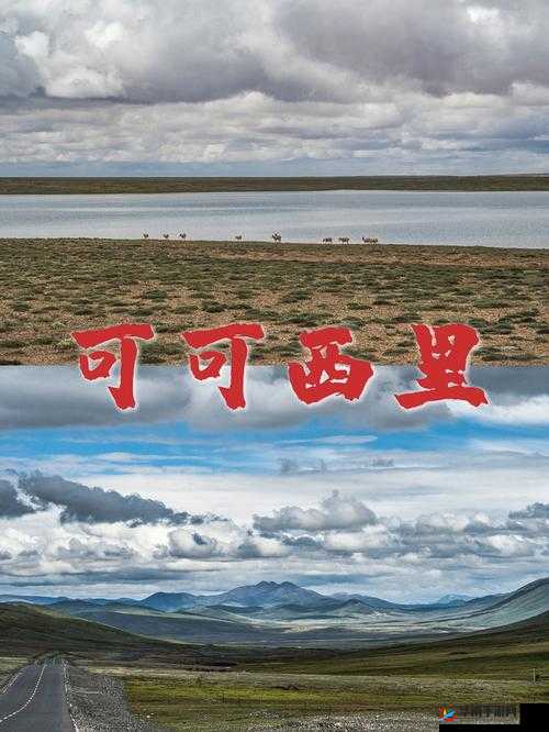 无人区一码二码三码四码的神秘探索