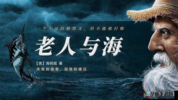 无线乱码 A 区 B 区 C 区 D：一场关于科技与人性的挑战