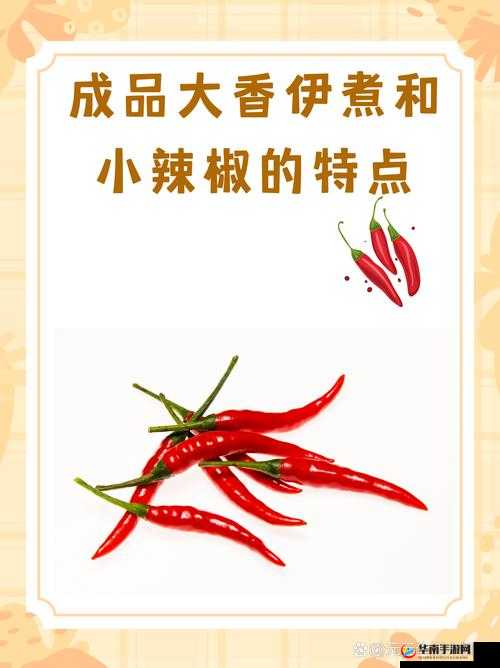 成品大香伊煮与小辣椒的别样故事