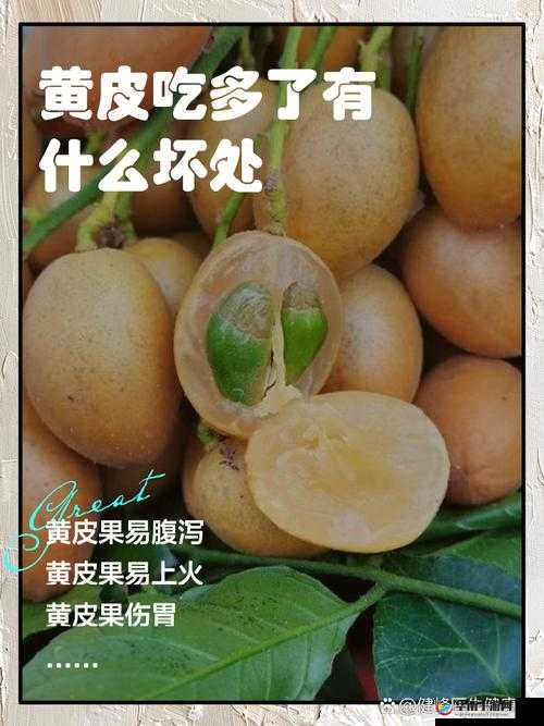 W.W.W 黄皮相关内容探讨