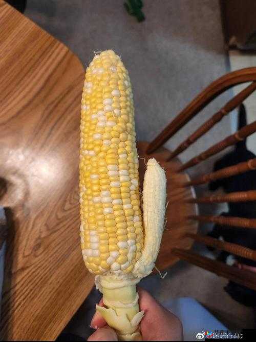 丝瓜草莓秋葵榴莲：四种蔬果介绍