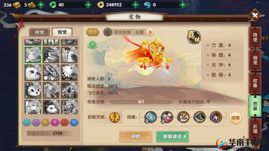 寻仙手游侍宠大全图鉴与捕捉技巧