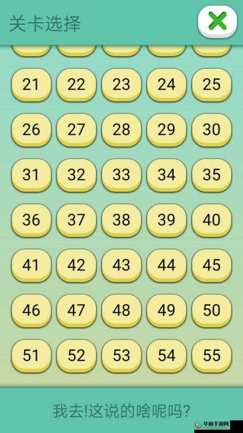 第54关攻略:揭秘去这说的啥呢?的答案