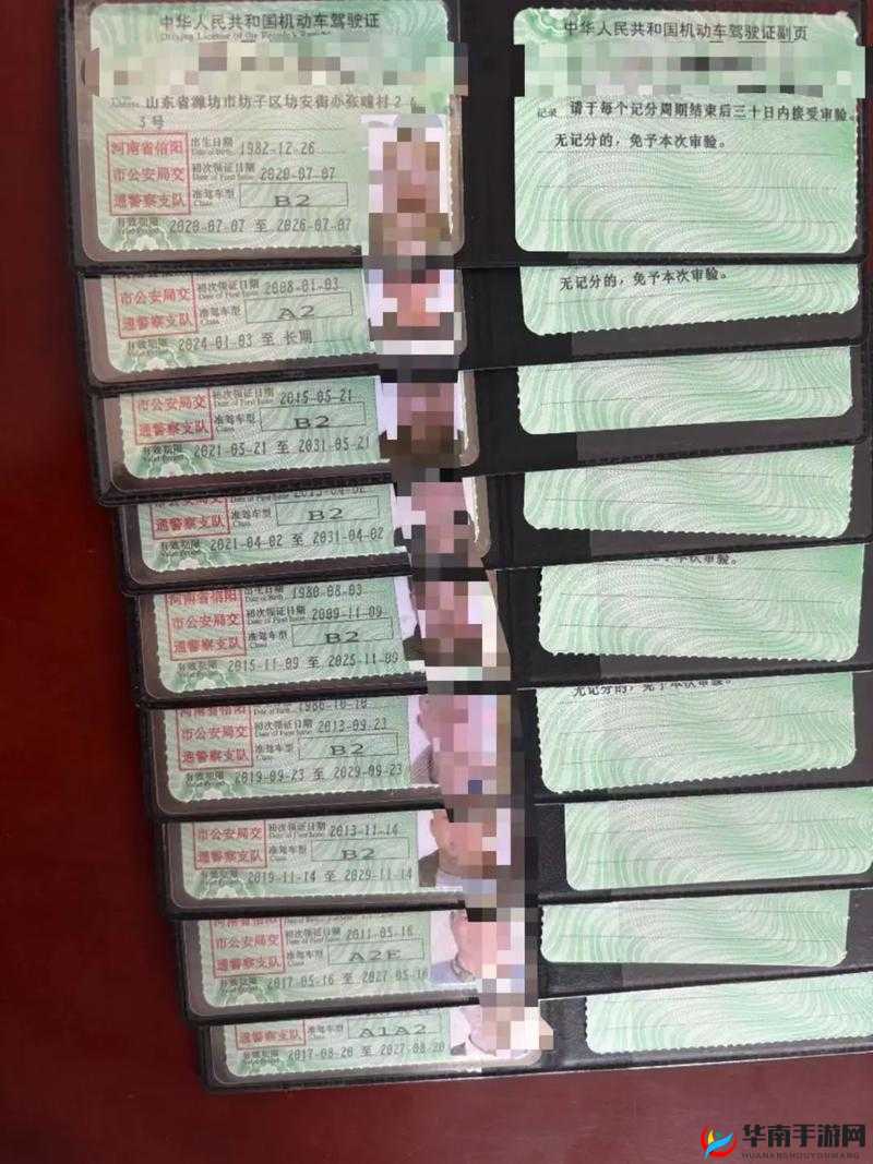 国产 A1A2A3 恢复更新：佳作不断