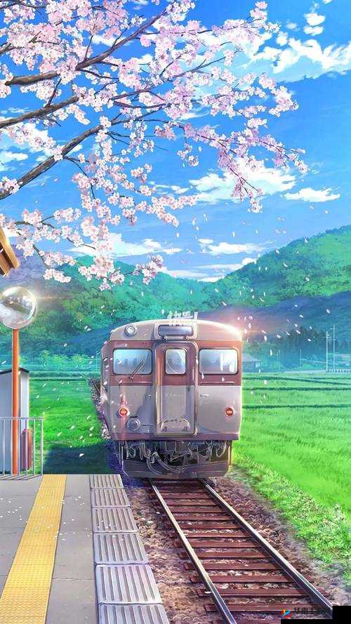 樱花动漫官方正版入口：www.byyczs.com