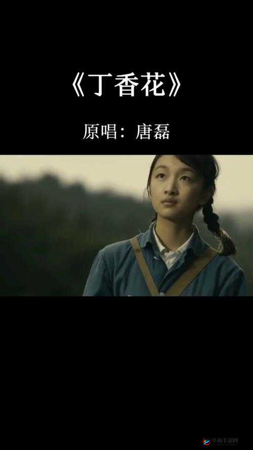 丁香花在线电影电视剧：海量影视资源等你来