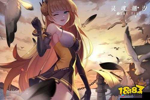 探索灵魂潮汐，收罗万象活动的奇妙世界